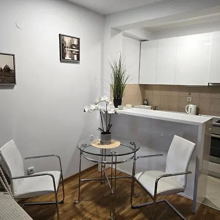 Daire Slavia Center Belgrad